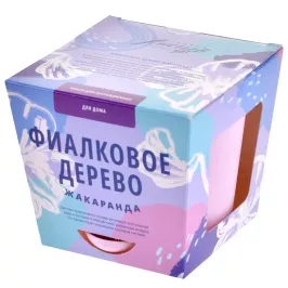 Тысяча листьев: Фиалковое дерево (жакаранда) картинка 344195 - МосИгра